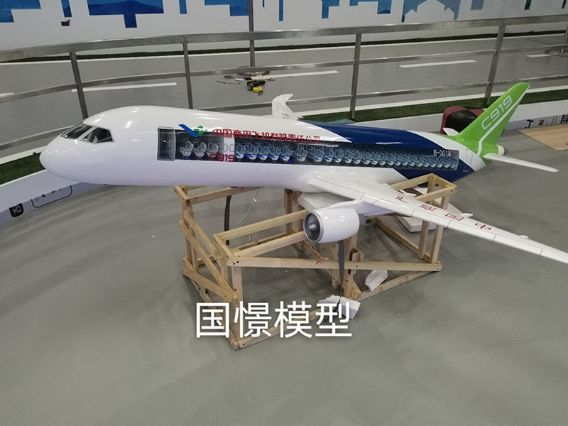 隆子县飞机模型