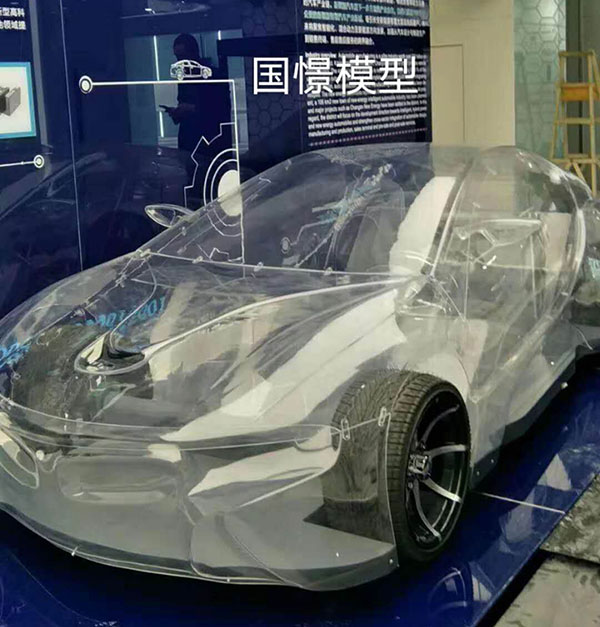 隆子县透明车模型
